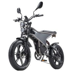 RANDRIDE DM711 Electric Bike 1000W*2 48V 20Ah