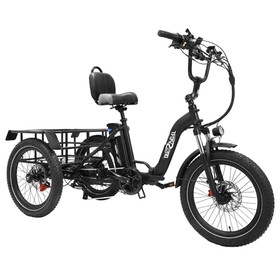ONESPORT OT30 Electric Cargo Tricycle 500W Black